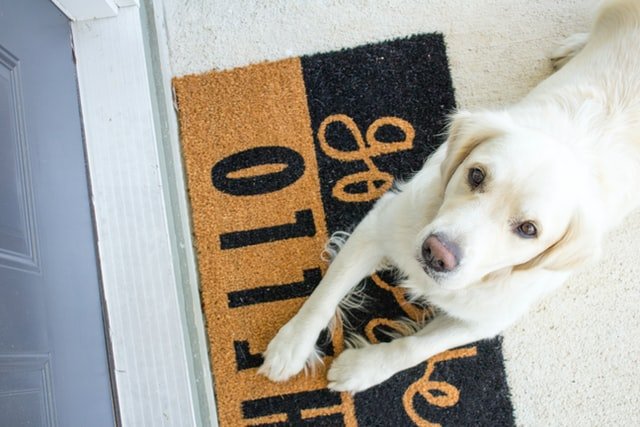 Dog doormats - Goodogz