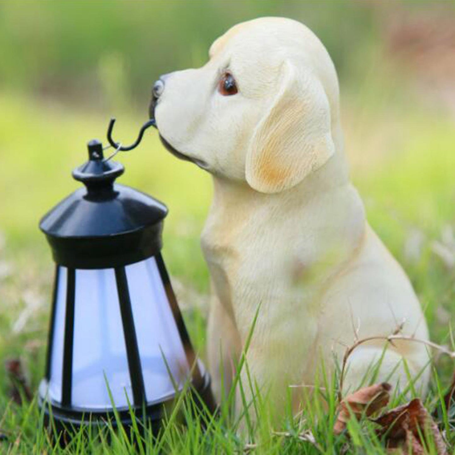 Labrador Solar Lamp