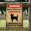 Chihuahua Metal Sign