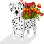 Dalmatian Planter