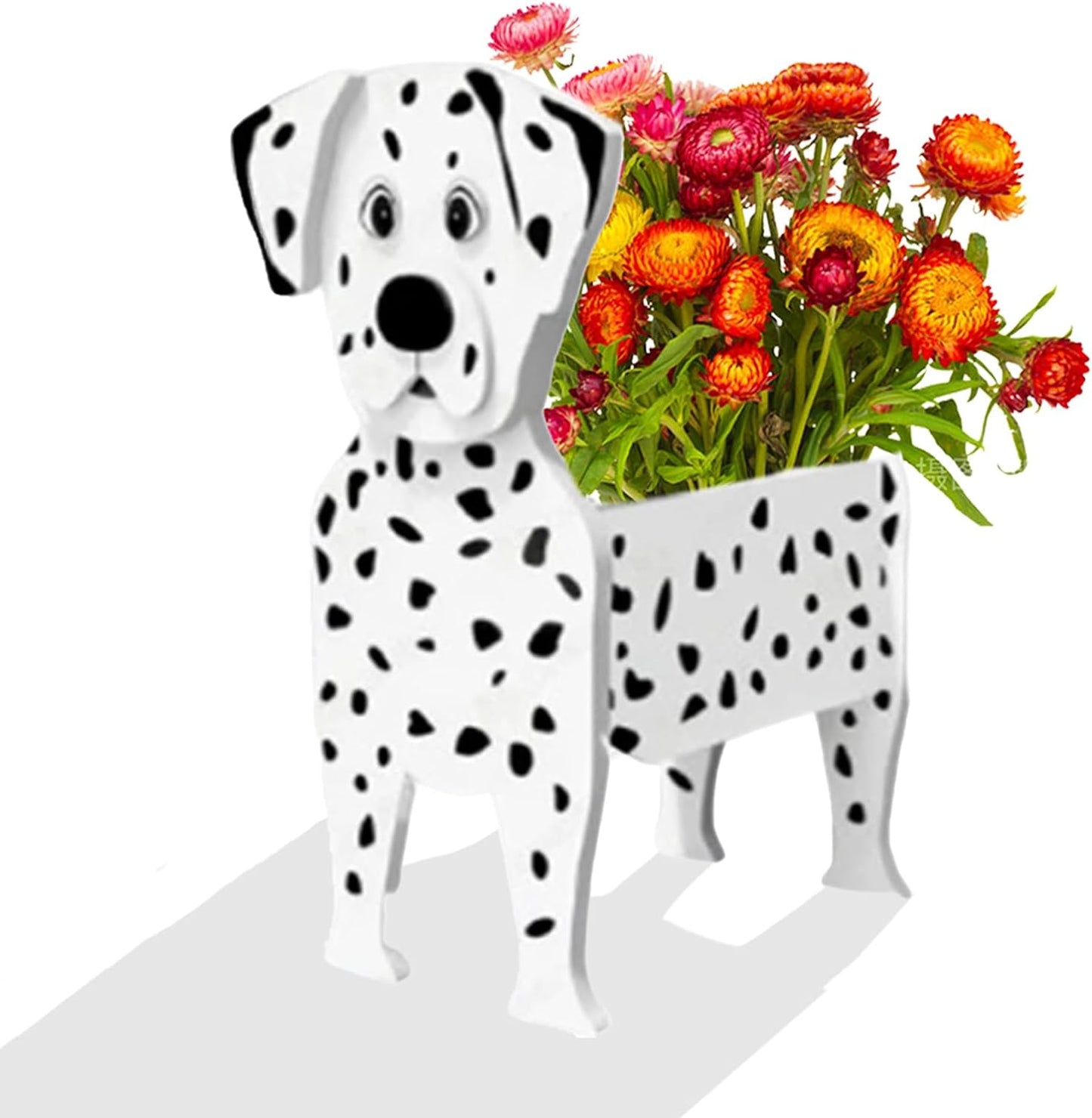 Dalmatian Planter