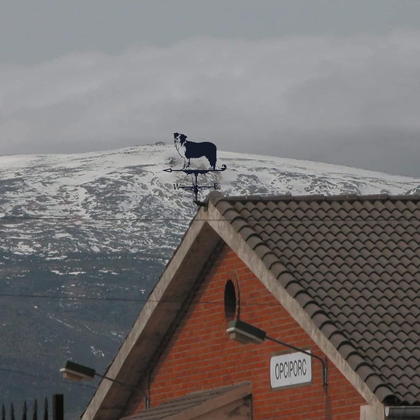 Rottie Weathervane