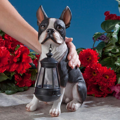 Boston Terrier Statue