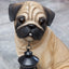 Pug Statue