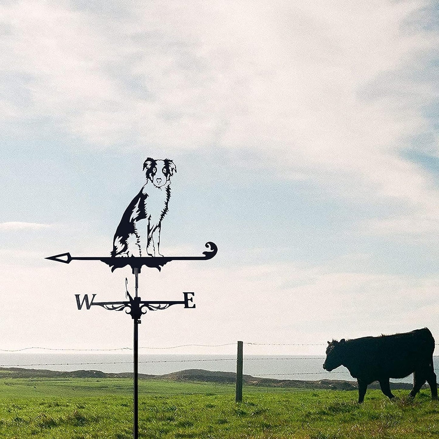 Australian Shepherd Weathervane