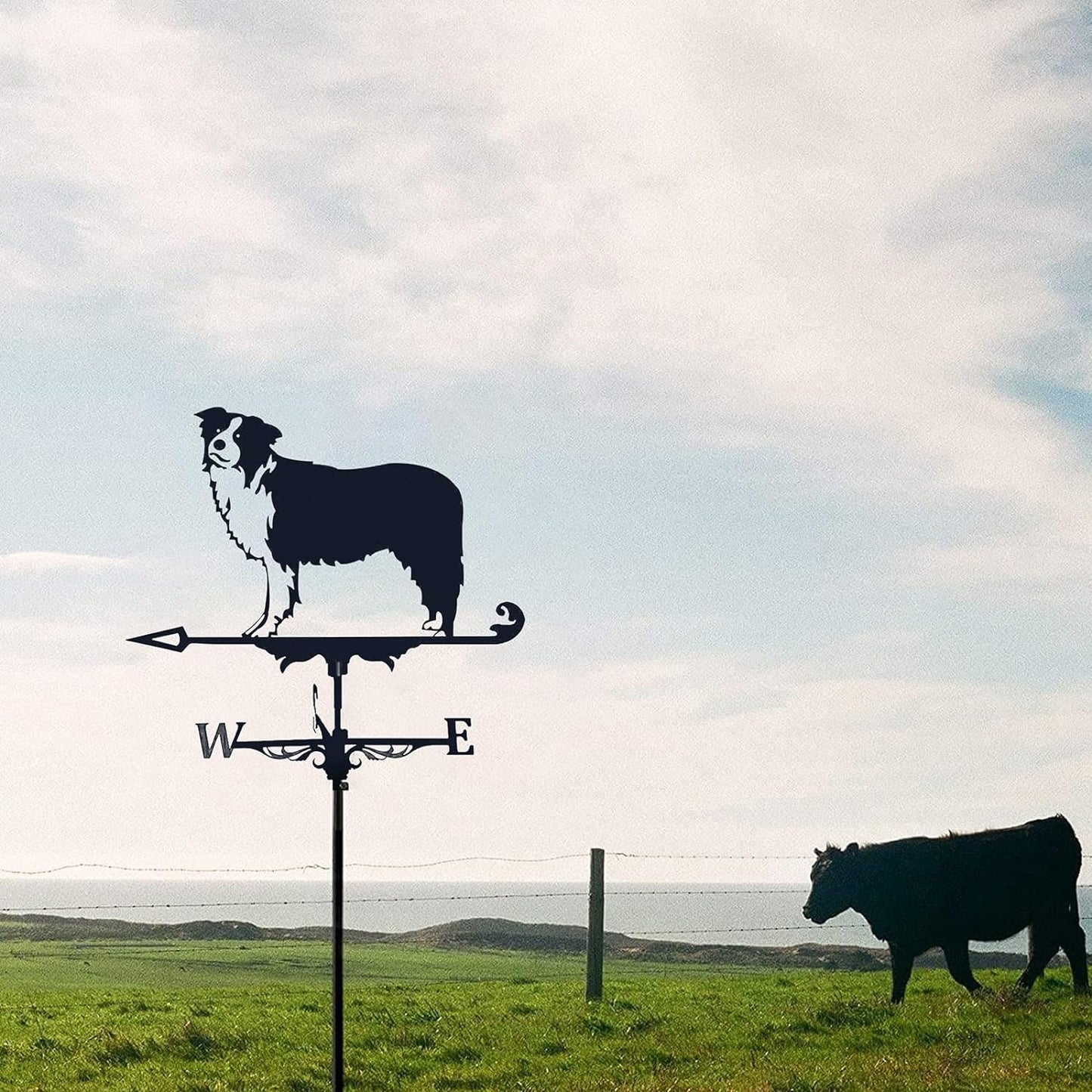 Border Collie Weathervane