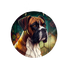 Boxer Dog sign