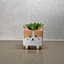 Corgi Ceramic Plant Pot