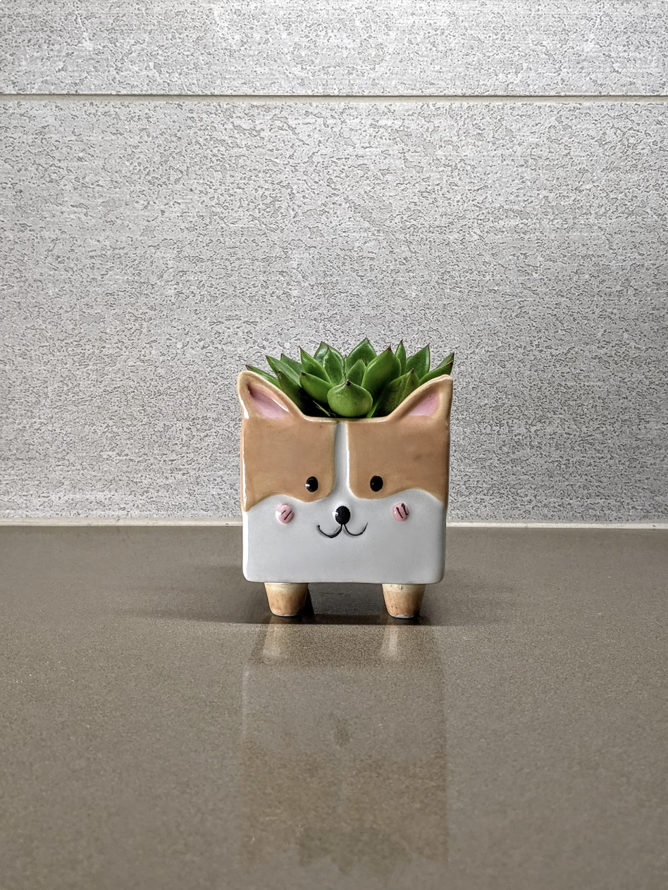 Corgi Ceramic Plant Pot