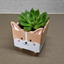 Corgi Ceramic Plant Pot