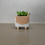 Corgi Ceramic Plant Pot