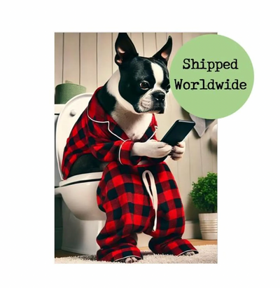 Boston Terrier - Dog Canvas Print