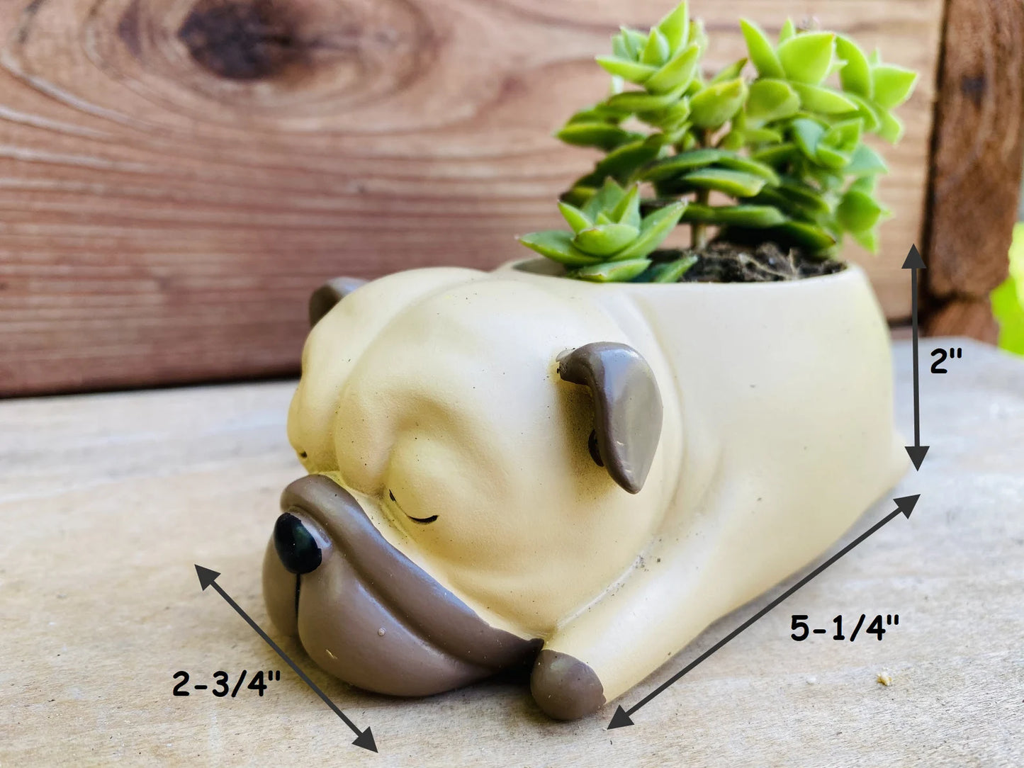 Pug Succulent Pot