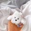 Poodle Dog AirPods Case