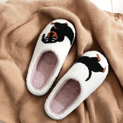 Dachshund warm slippers