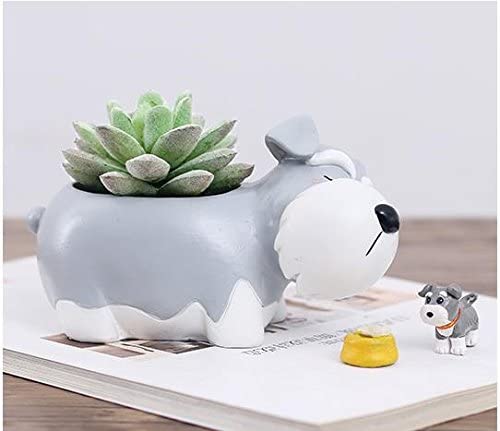 Schnauzer Dog Plant Pot