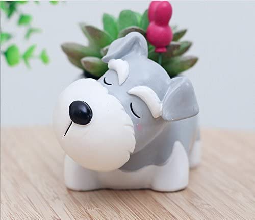 Schnauzer Dog Plant Pot