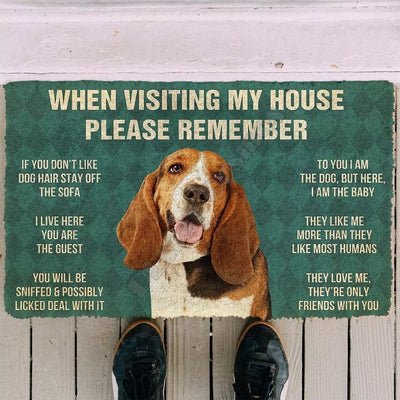 Basset hound funny doormat - Goodogz