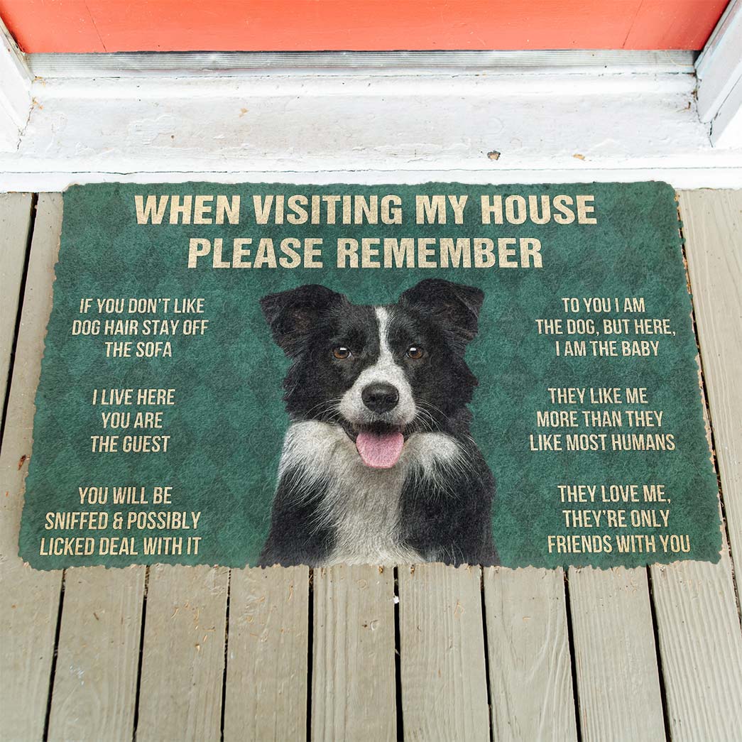 Border collie funny doormat - Goodogz