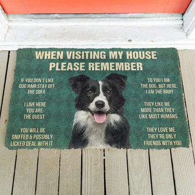 Border collie funny doormat - Goodogz