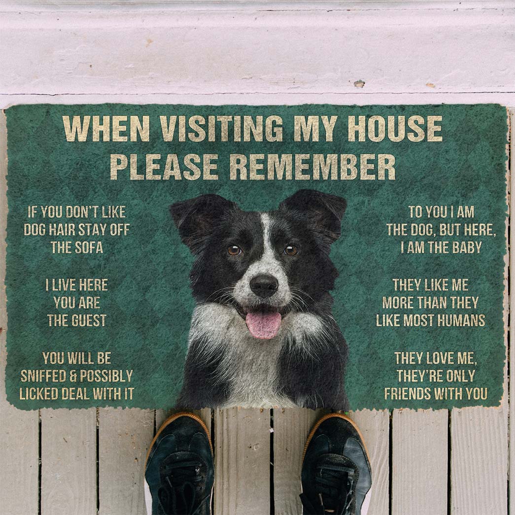 Border collie funny doormat - Goodogz