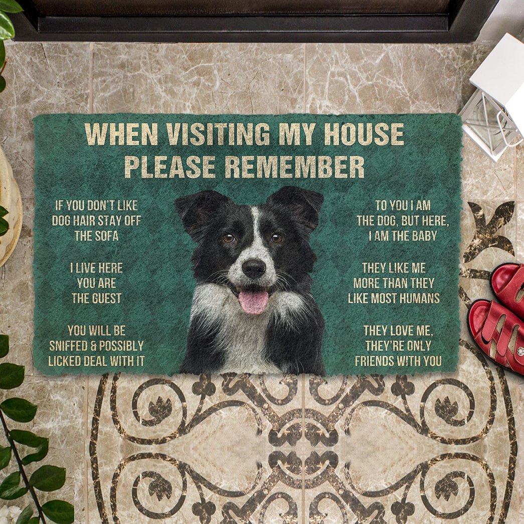 Border collie funny doormat - Goodogz