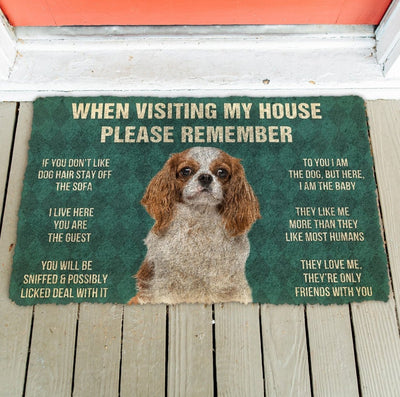 Cavalier king charles spaniel funny doormat - Goodogz