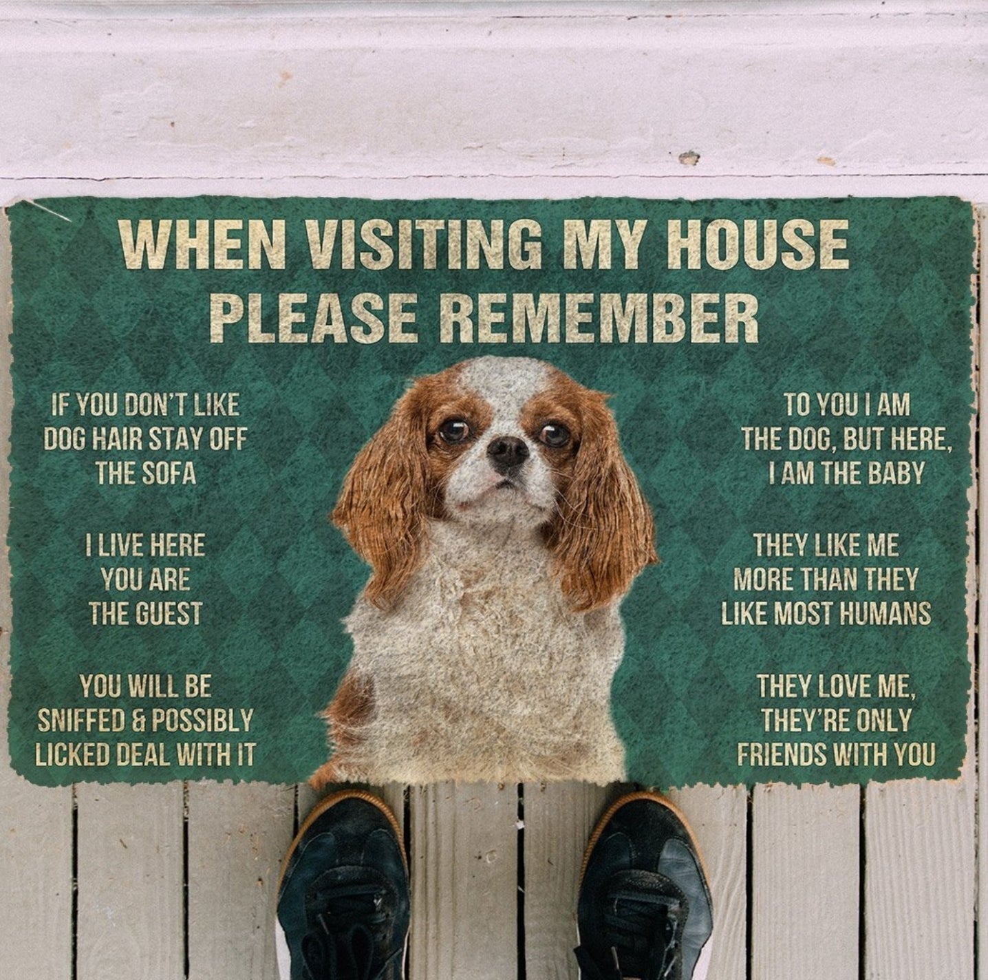 Cavalier king charles spaniel funny doormat - Goodogz