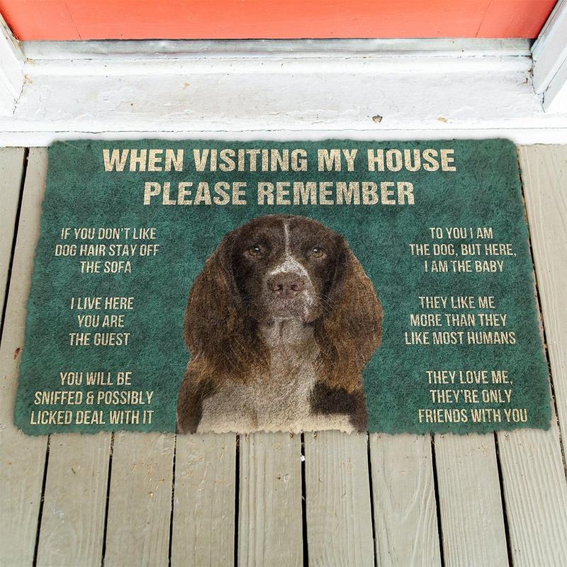 English springer spaniel funny doormat - Goodogz