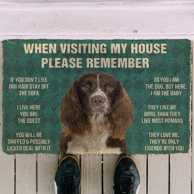 English springer spaniel funny doormat - Goodogz