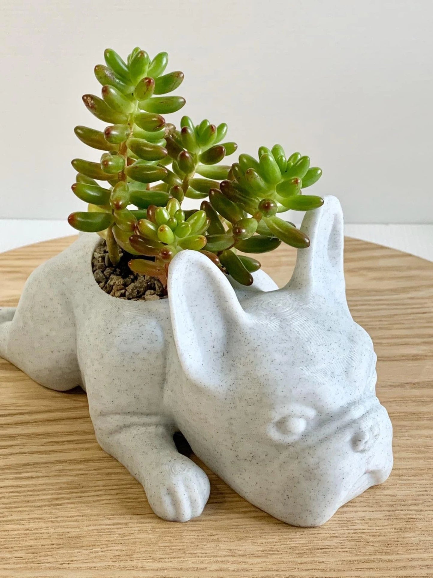 French Bulldog Planter - Goodogz