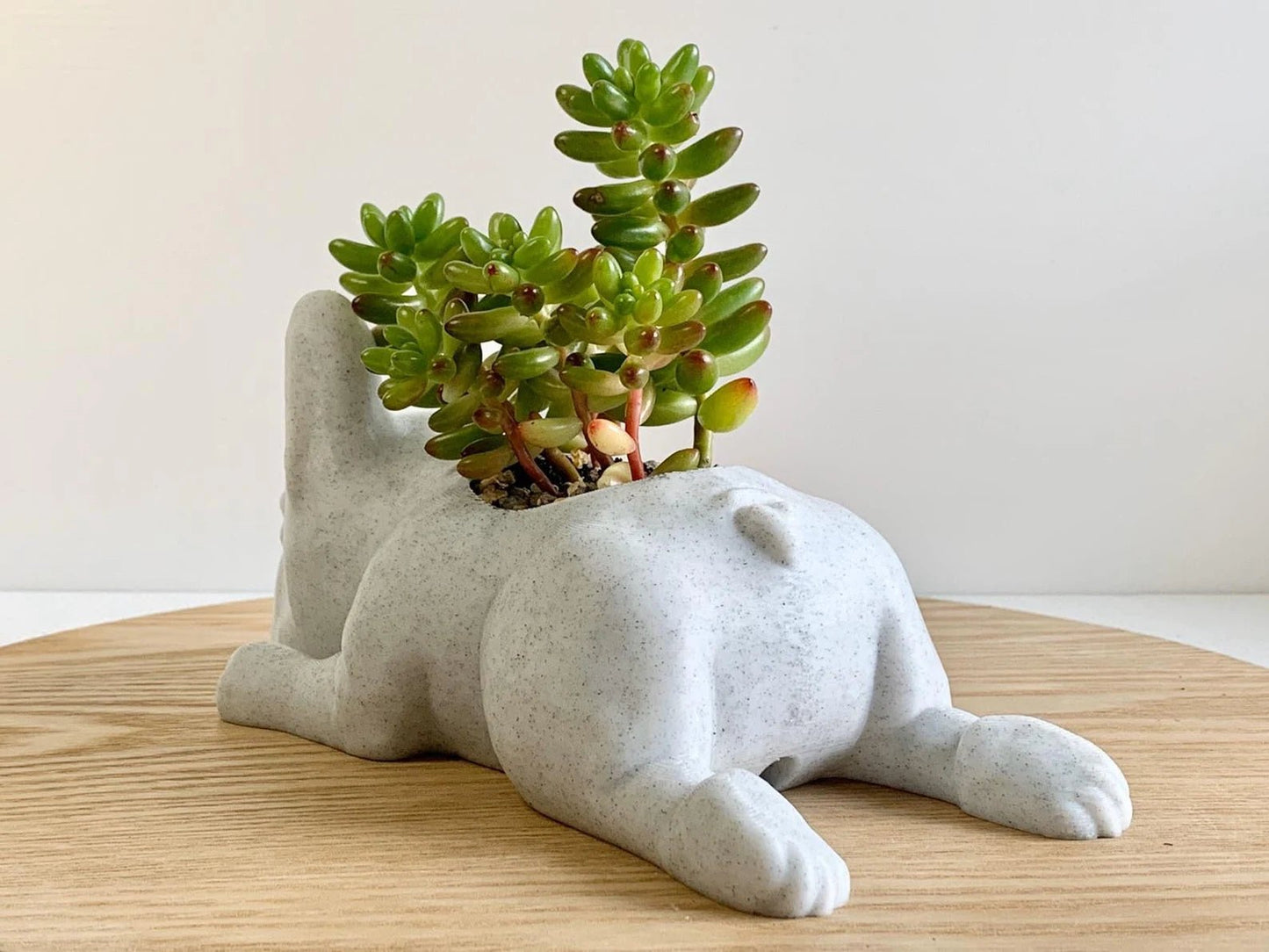 French Bulldog Planter - Goodogz