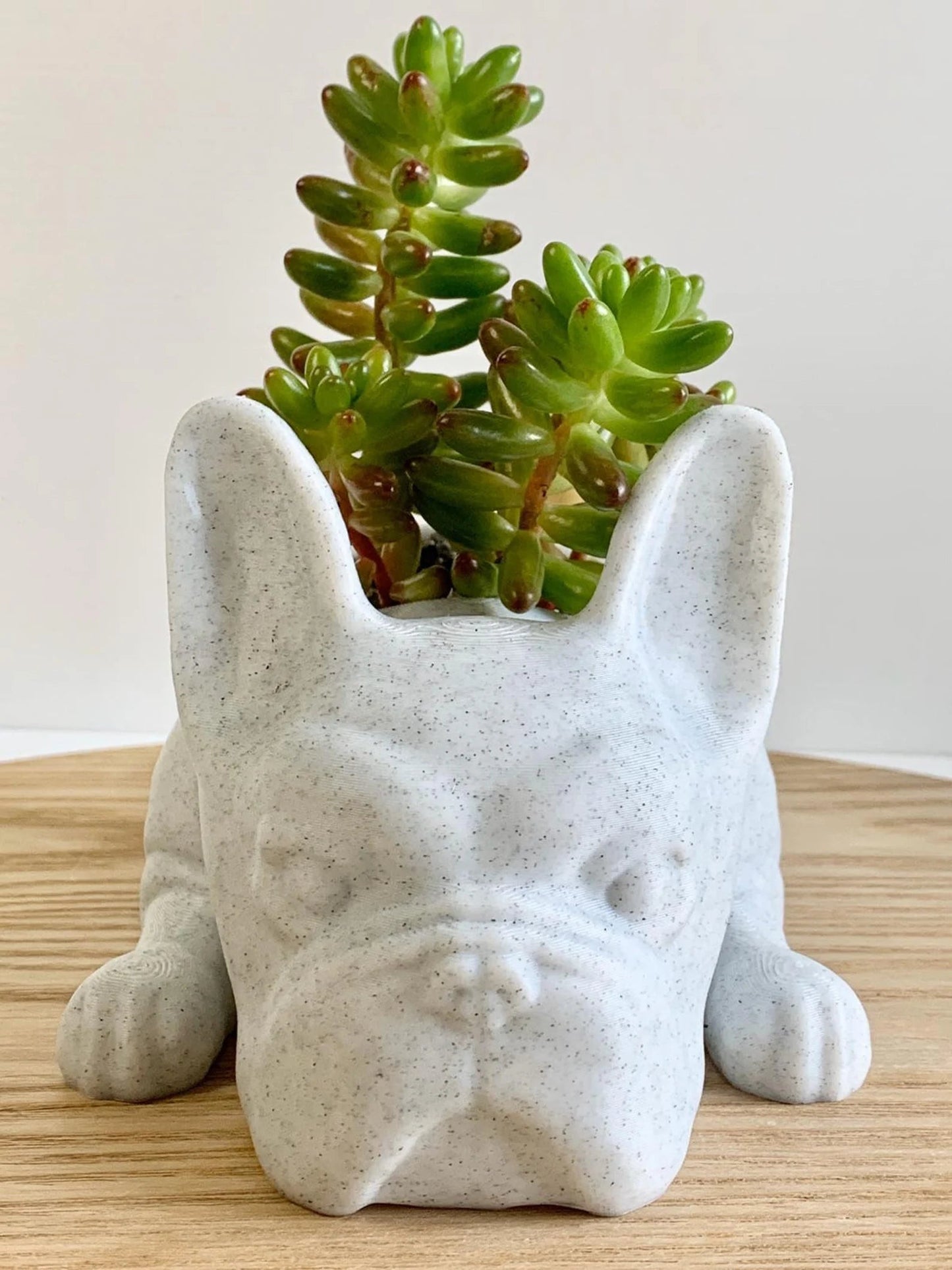 French Bulldog Planter - Goodogz