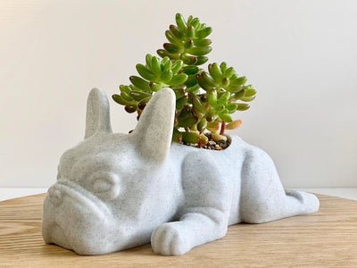 French Bulldog Planter - Goodogz