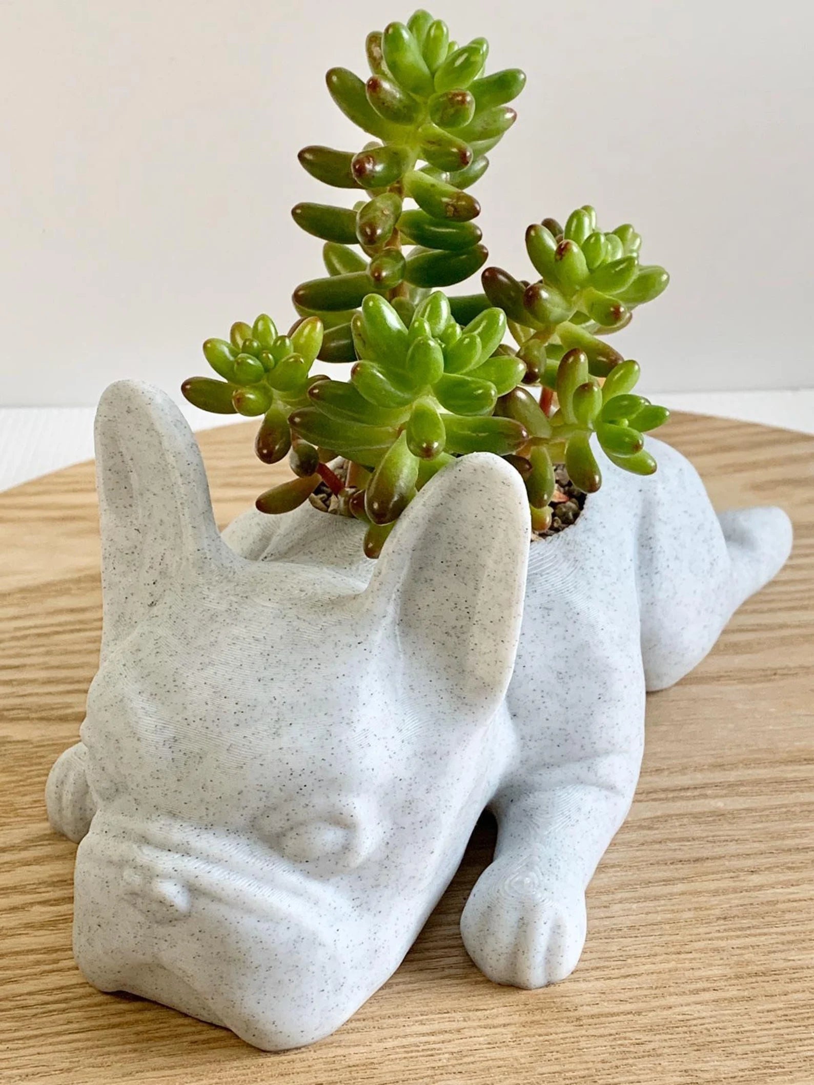 French Bulldog Planter - Goodogz